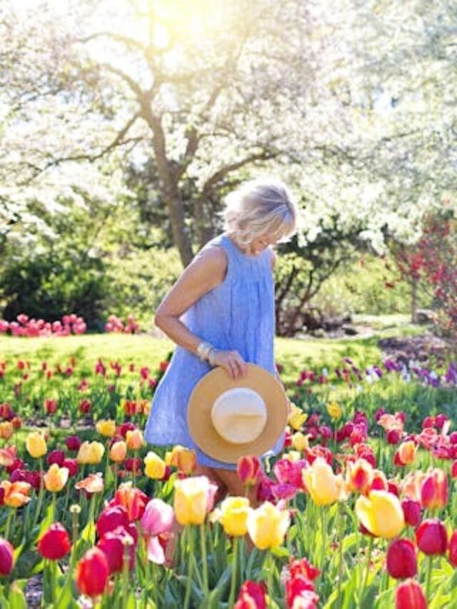 Como Ter Um Belo Jardim Lar Florido